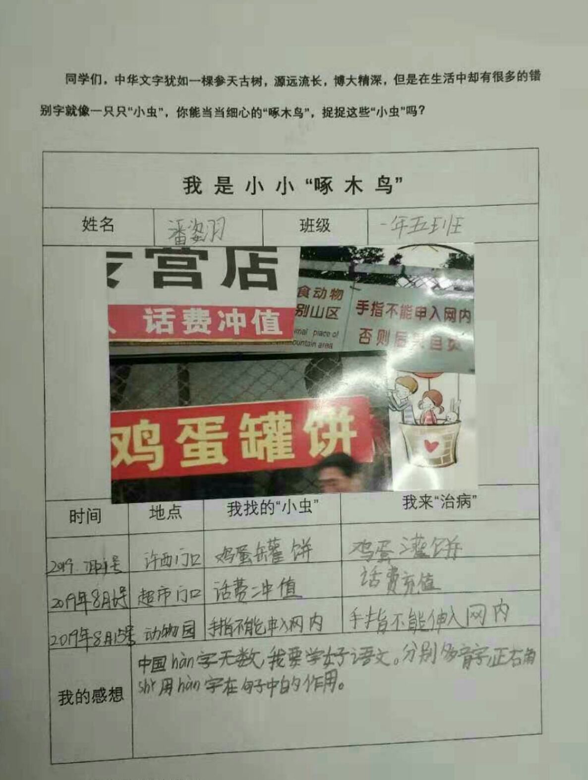 小学啄木鸟行动校外纠正错别字,啄木鸟找错别字实践活动