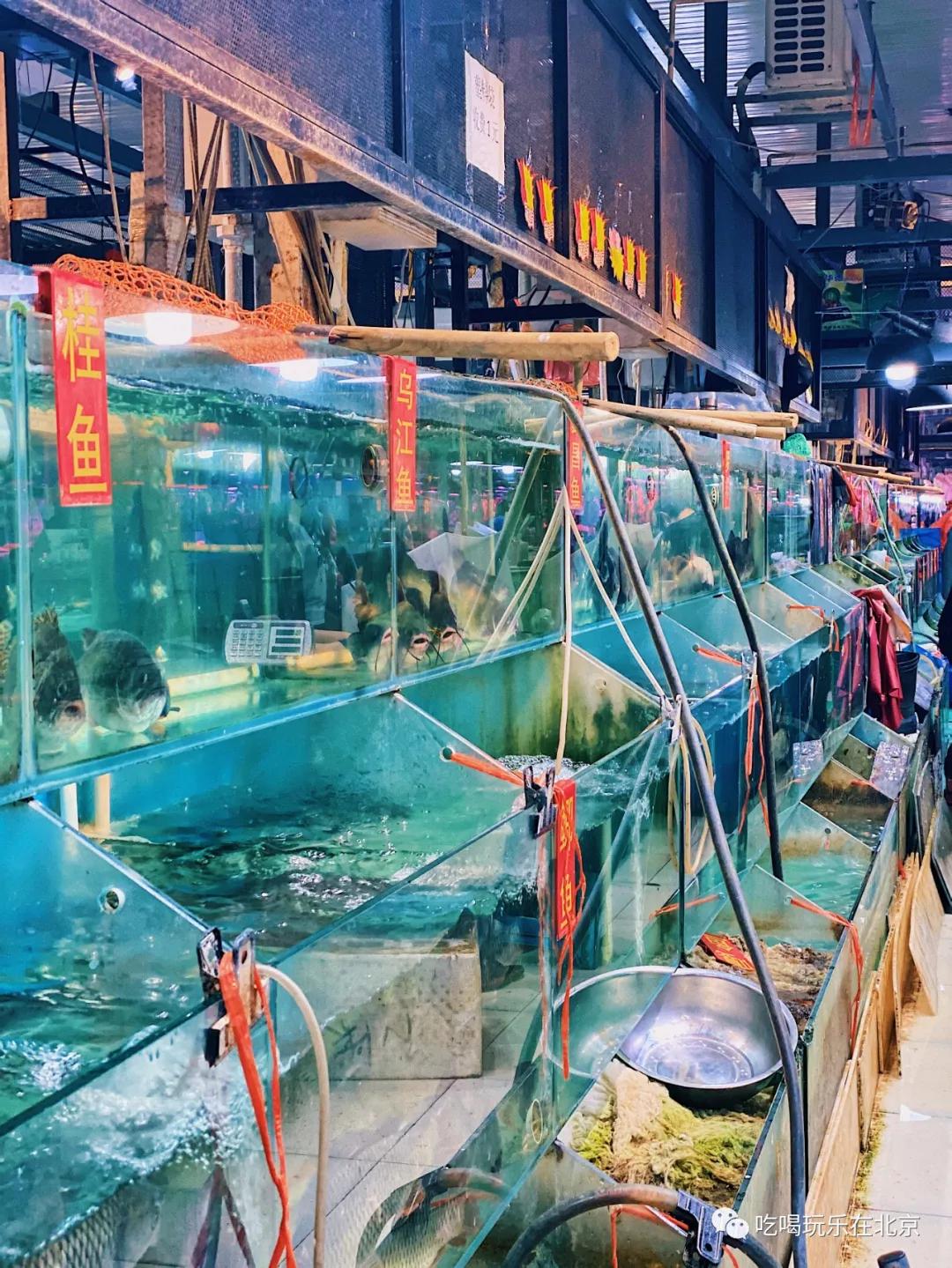 朝阳区海鲜市场,北京朝阳区海鲜市场
