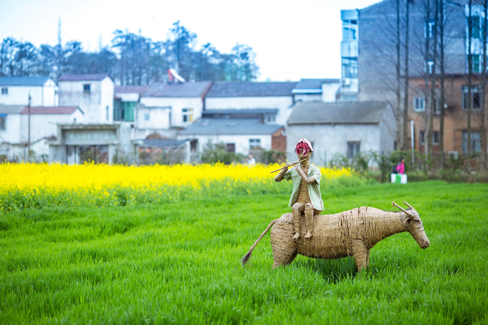 今日春分,武汉这时候不仅有樱花,这里的花随风一吹人都酥了