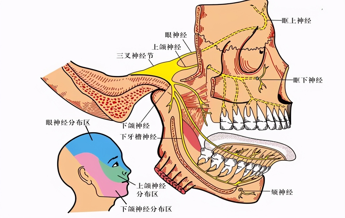 忽然右脸麻听力下降什么原因,面部一侧麻木视力模糊是什么原因