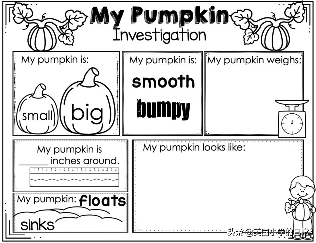 一个南瓜引发的学习激情，为何让美国孩子如此着迷？