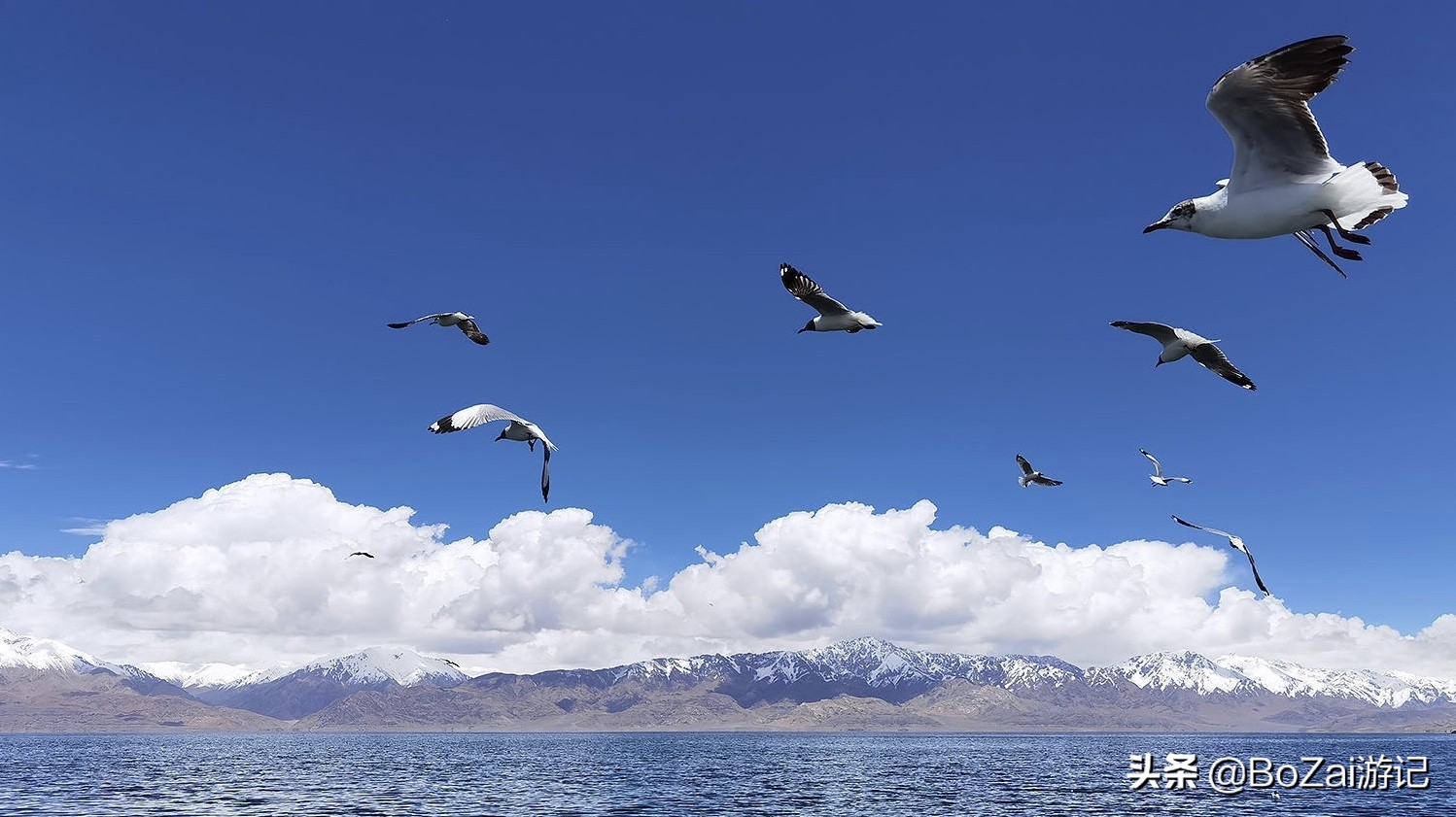 旅游藏西,滇藏线西藏旅游攻略