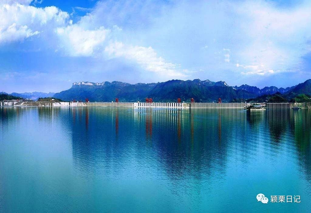 关于白鹭的资料,关于白鹭的资料五年级