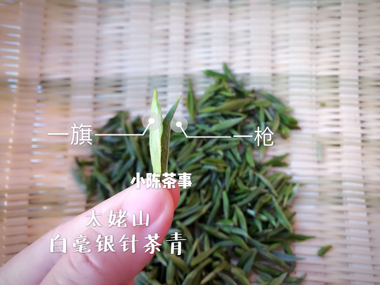 白毫银针和金骏眉是同一种茶底吗,绿茶龙井红茶金骏眉白茶白毫银针