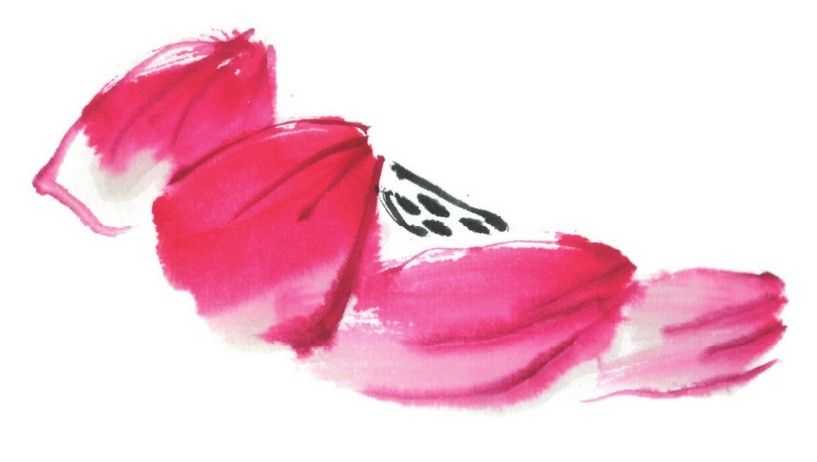 国画刘存惠荷花画法全视频,国画山水画教学视频荷花画法