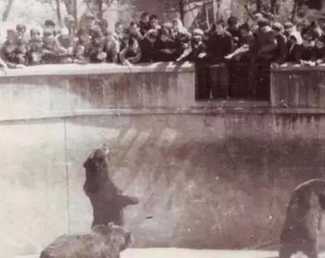 合肥逍遥津最新消息,合肥逍遥津现状