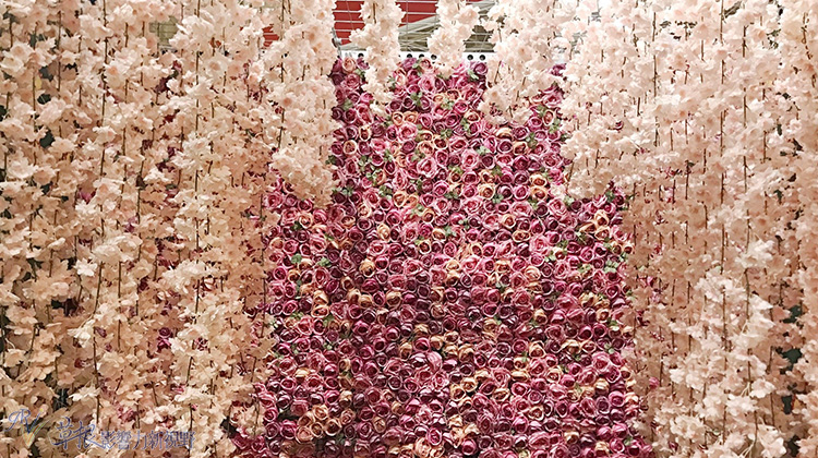 洛杉矶sushipark,洛杉矶亲子乐园推荐