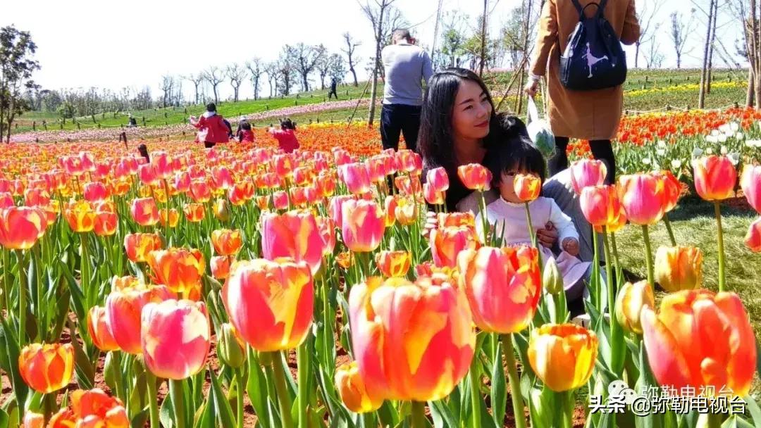 弥勒向世界发出邀请：春节7天乐！数十个多彩活动等你来……
