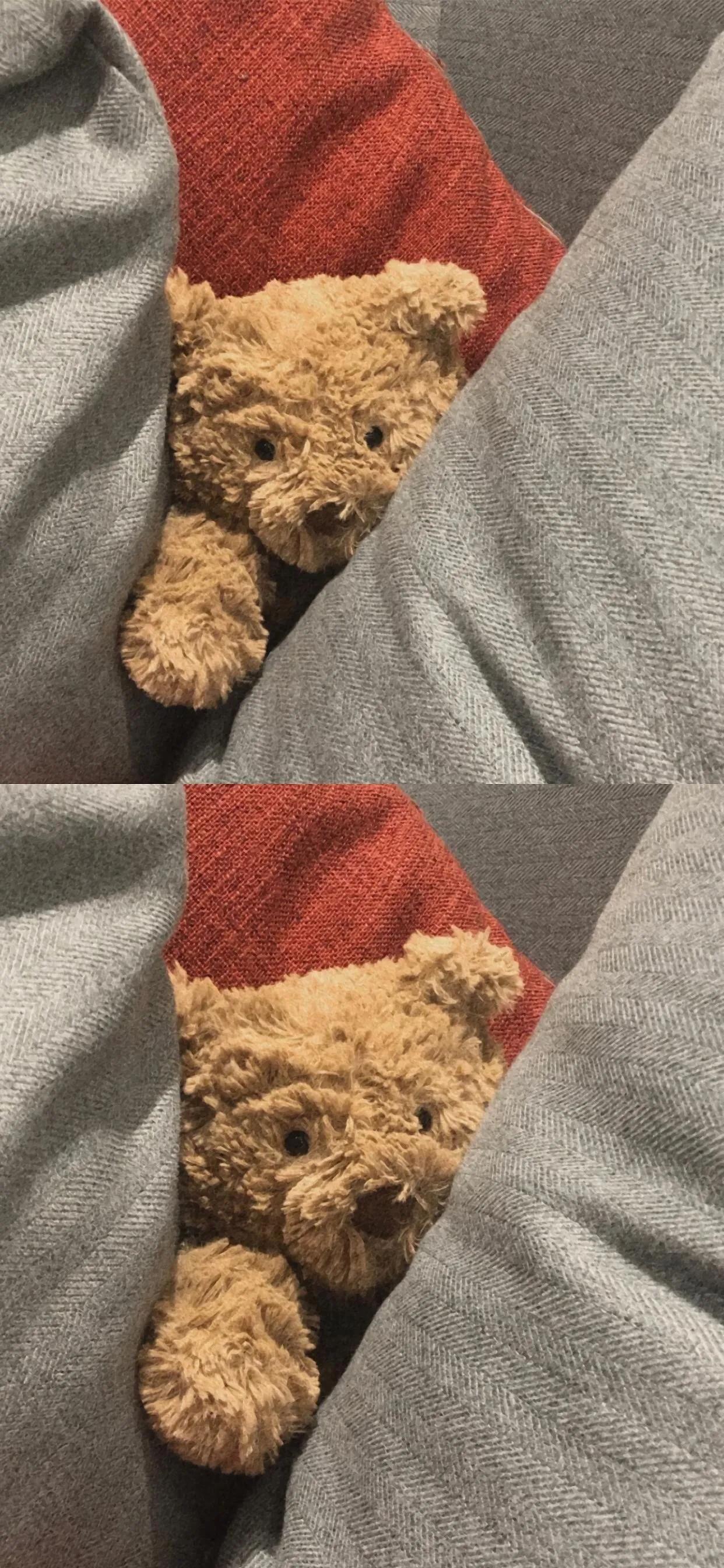 巴塞罗那熊4k壁纸,巴塞罗那熊高清手机壁纸