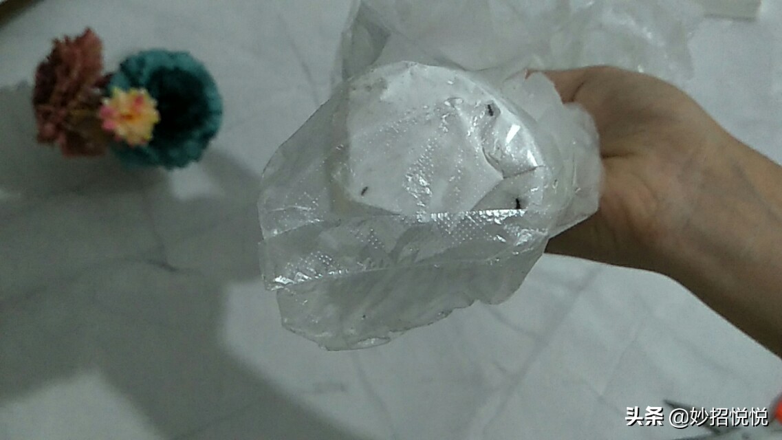 长虫子的挂面能吃吗,长虫的面条还能吃吗