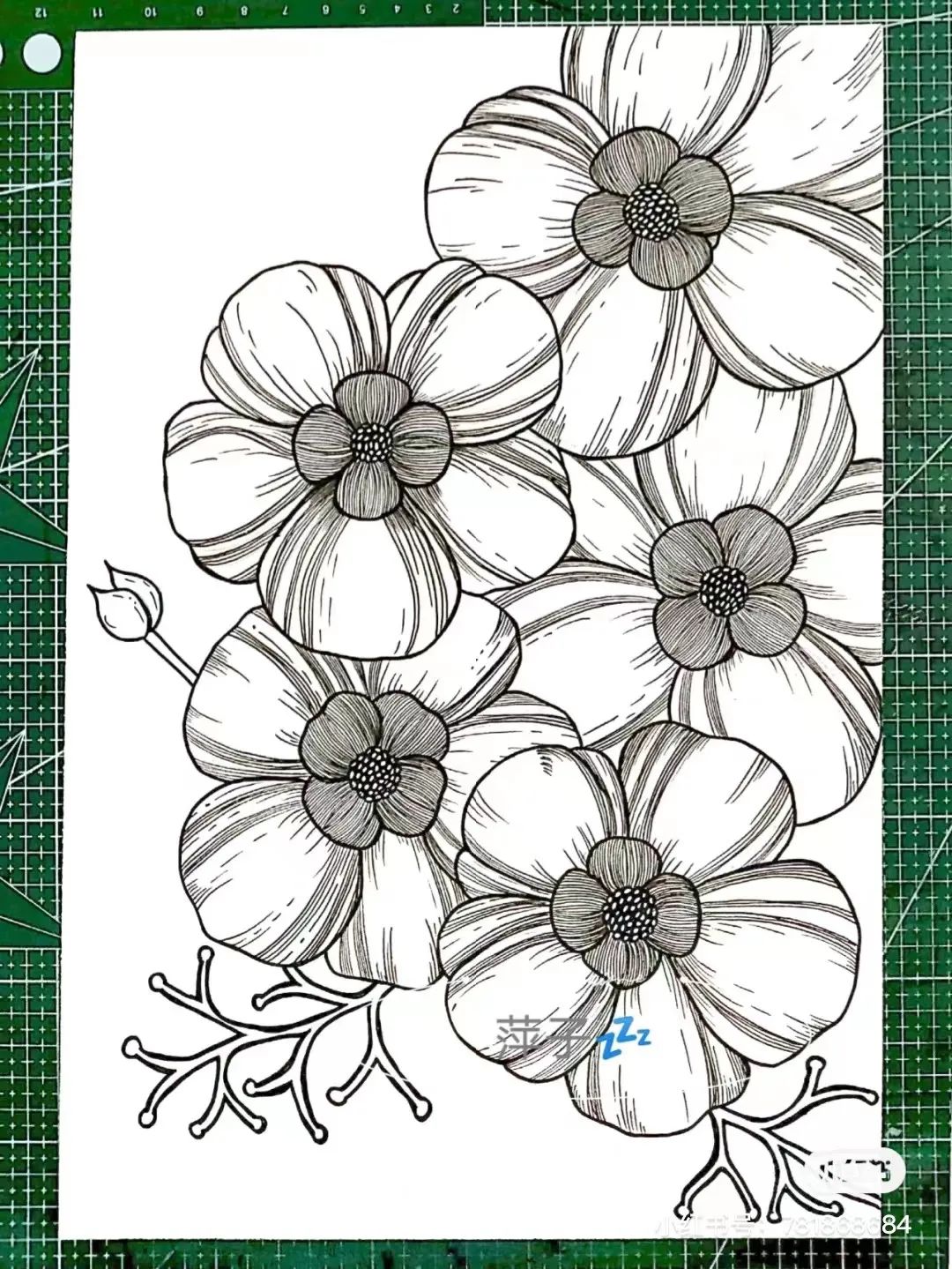 花卉简单线描创意画,花草线描画装饰