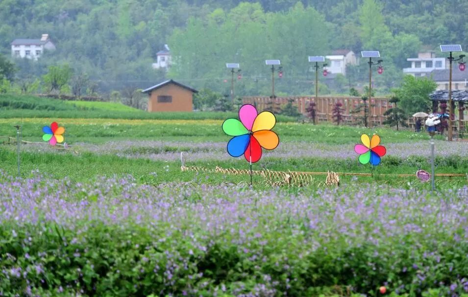 案例|农村三产融合新样板:梨园公社(堪称经典)