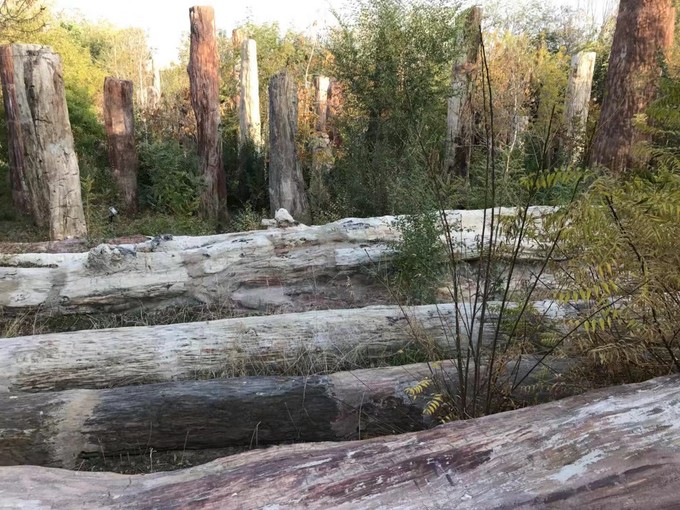 新疆阿克苏美丽风景,新疆阿克苏美景介绍视频