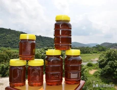 揭露蜂蜜作假的过程,假蜂蜜大行其道真蜜无人问津