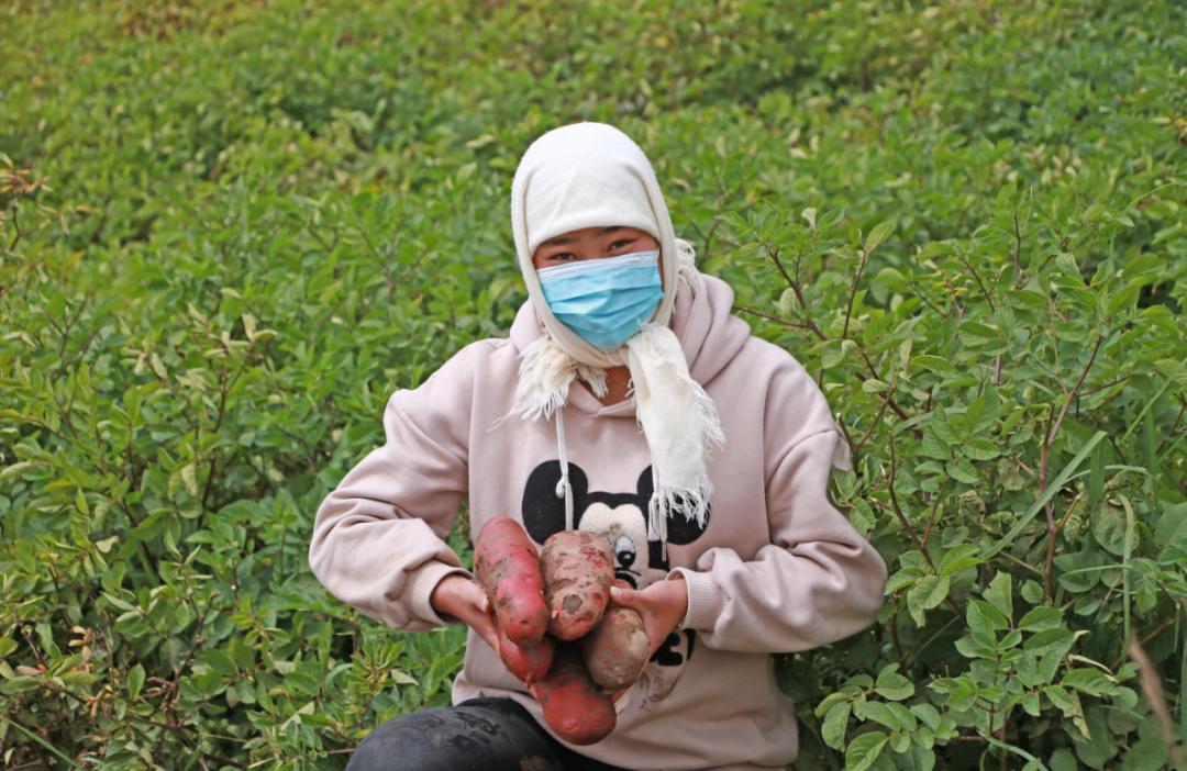 拉面之乡,民族团结进步之花盛开在雪域高原