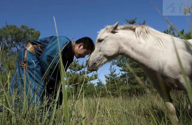 战功赫赫的马,驰骋草原的马,都是蒙古人的浪漫