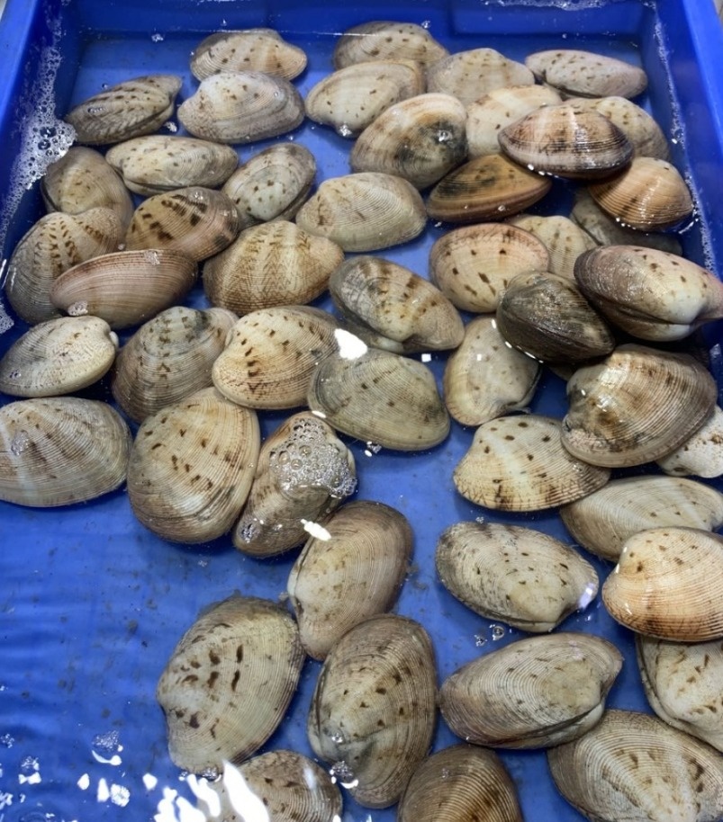 北海干货海鲜批发市场哪个便宜,北海菜市场买海鲜哪个最新鲜