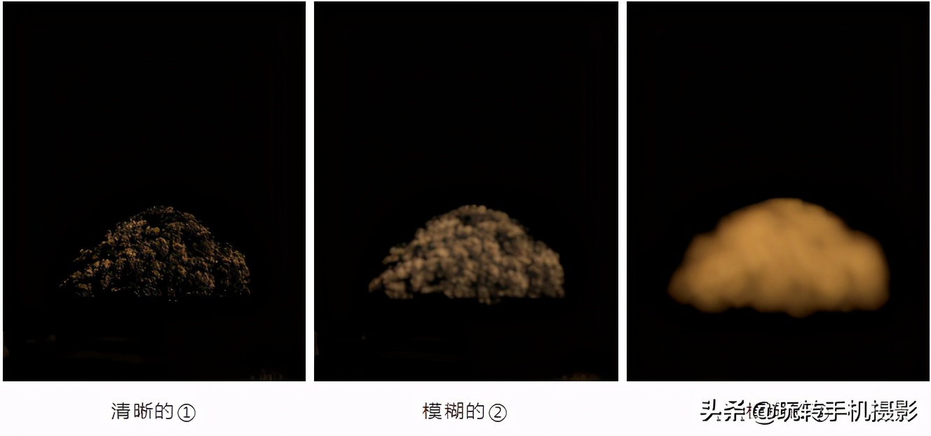 snapseed创意修图,snapseed如何把照片修出翠绿风格