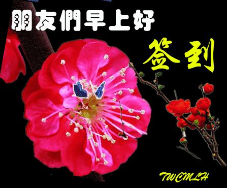 微信动态带字早上问候语图片大全,微信早晨好表情动态祝福语