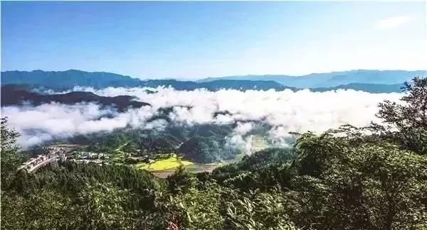 央视新闻报道通江县,今日通江新闻联播