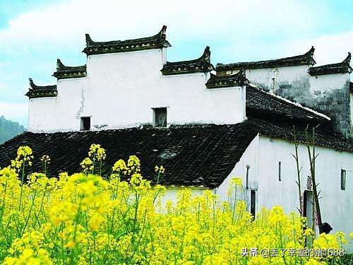 婺源最新旅游攻略自由行,厦门到婺源3天旅游攻略