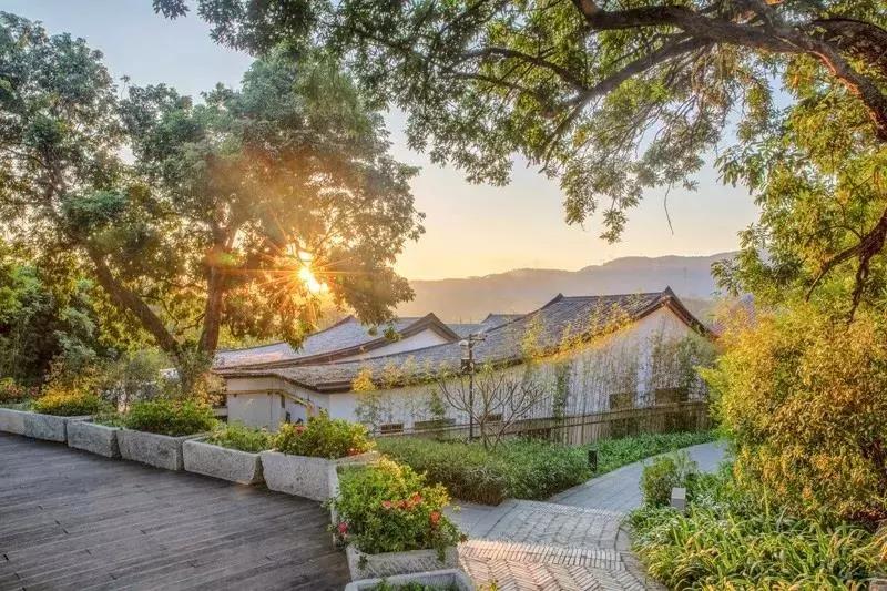 惠州秋长谷民宿推荐,惠州这家最有格调稻田民宿