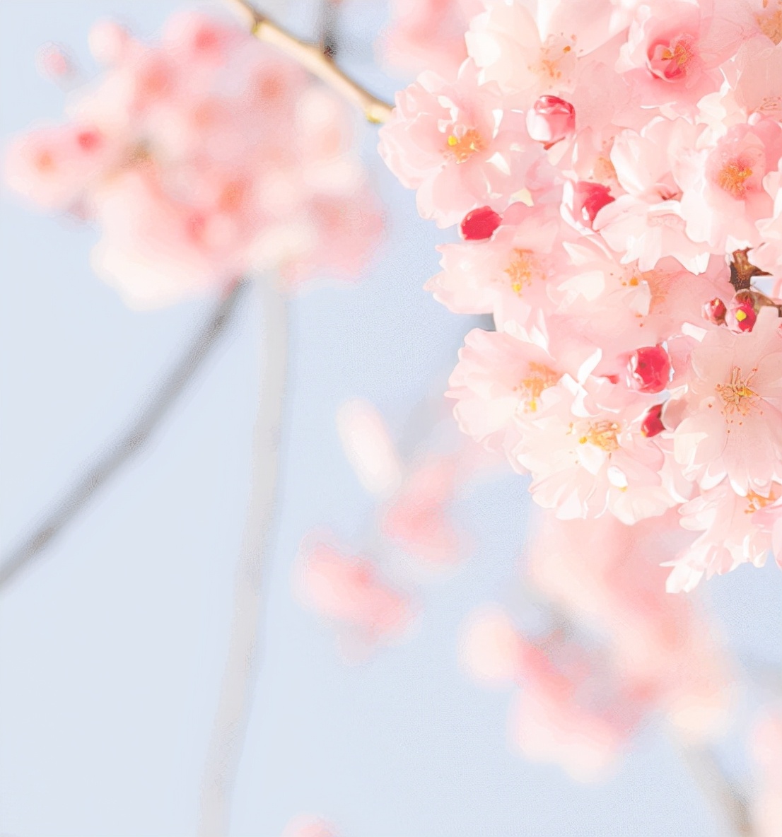 名膜壹号保湿锁水精华,名膜壹号水乳面膜测评