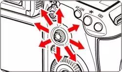 相机对焦技巧教程,相机对焦有哪些方法和技巧