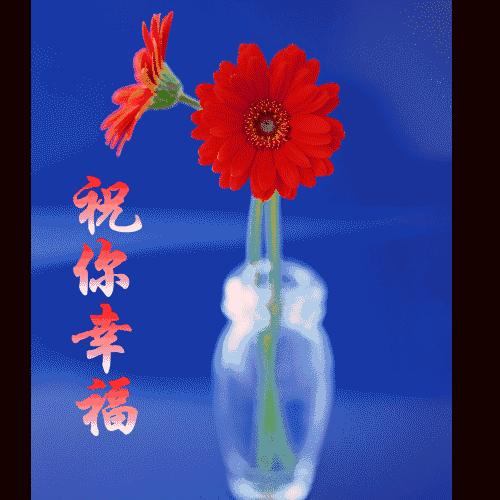 我把幸福送给你,11月快乐我把祝福送给你高清图片