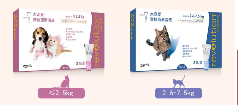 revolution大宠爱,大宠爱revolution