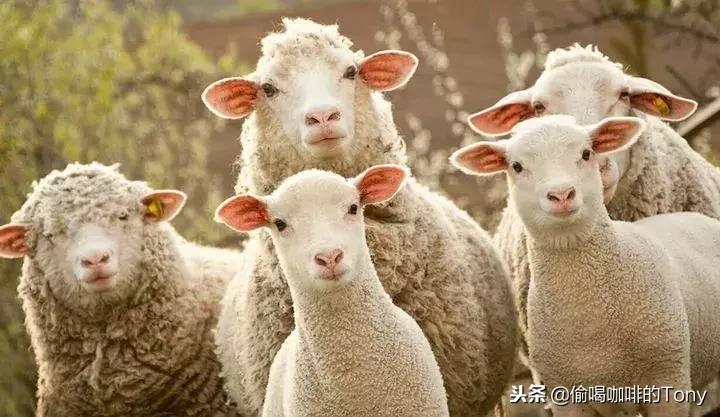 星巴克新会员19.9优惠,星巴克星会员19.9优惠三杯