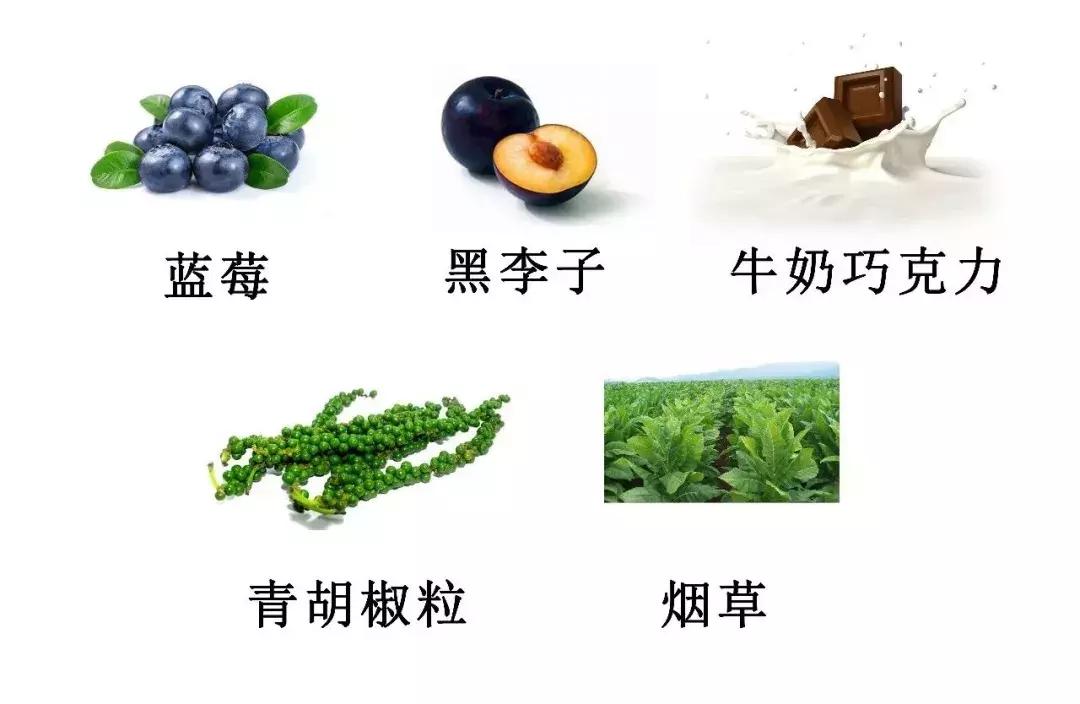 盲品了10多款西拉后，我总结了6国西拉的特点！