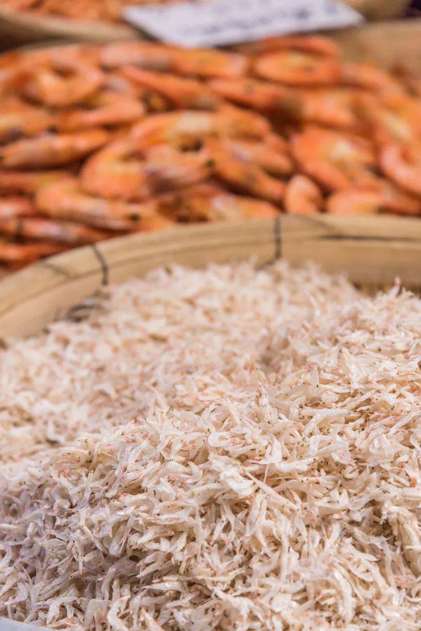 忽然想去旅游了,忽然想去宁波了