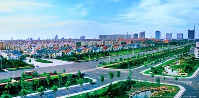 一天能供应武汉2000吨菜!这个地方种菜为什么这么牛?