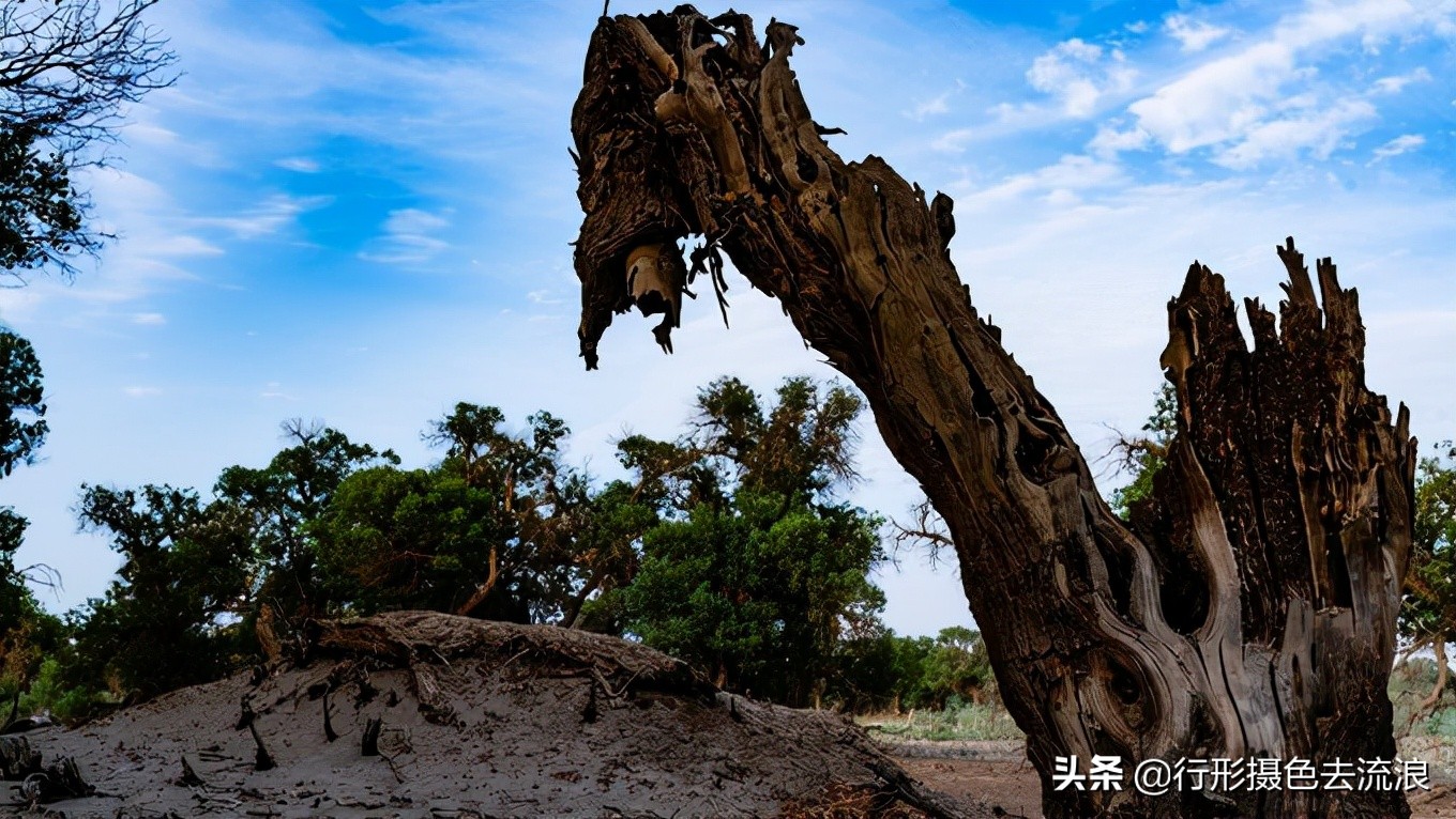 南北疆30天自驾深度游攻略,西行新疆