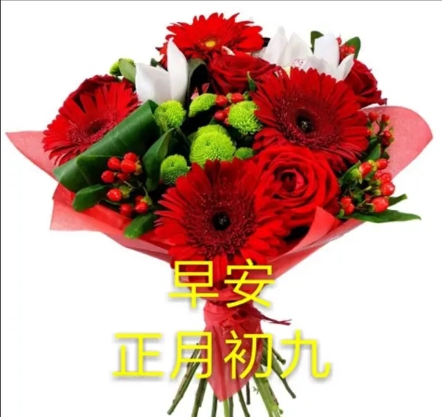 大年初九,久久的祝福送上,愿你幸福久久,好运久久,快乐久久!