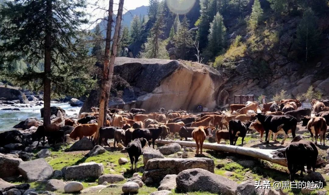 都说新疆好去新疆发展可靠么,都说新疆好地方