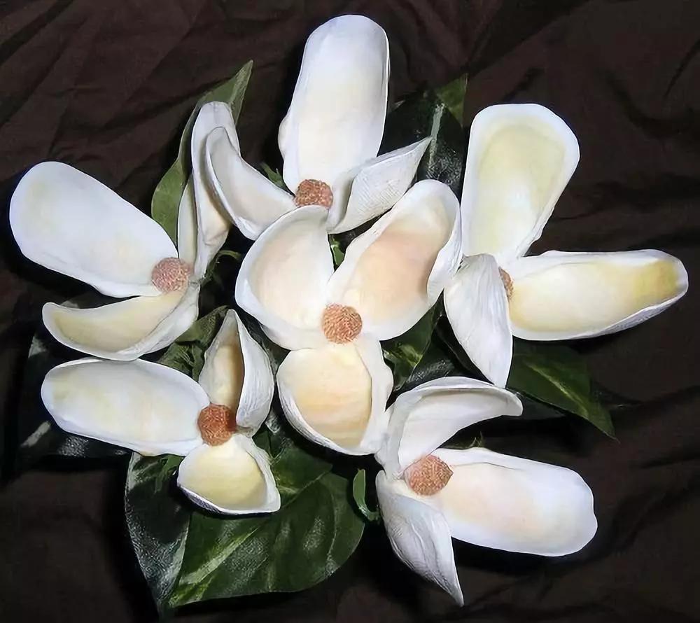 海边捡的贝壳可以做什么手工,贝壳创意手工种花