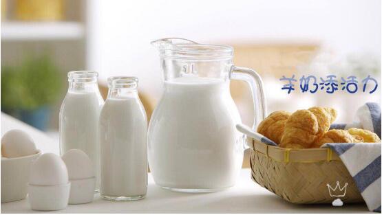 养乃世家卡曼诺羊奶央视广告,养乃世家新出的卡曼诺臻品