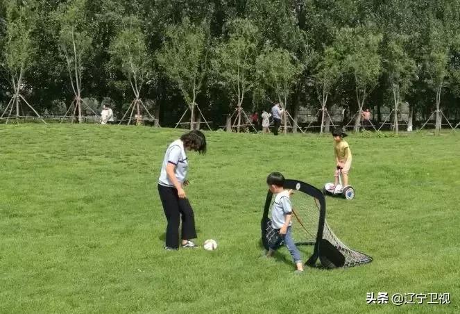 沈阳踢足球场所,沈阳可以免费踢球的地方