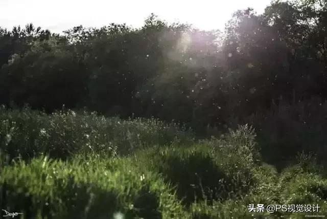 日常照片后期一定要用ps吗,摄影后期修图用ps什么版本