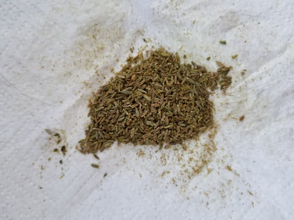 儿童冬天吃什么长高效果好,天冷了这个菜再贵也要给孩子吃