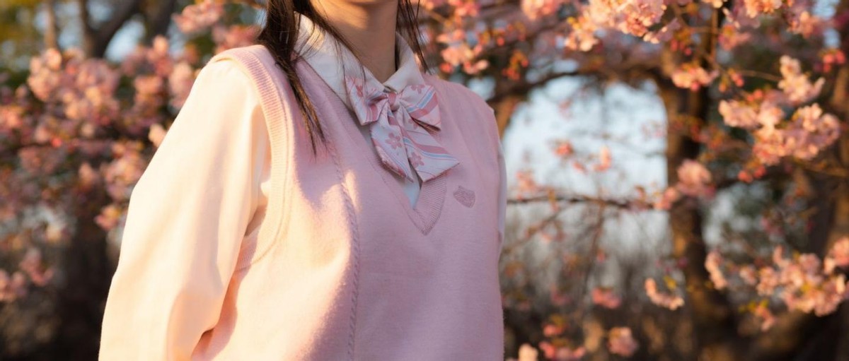 2470最便宜的镜头,24702.8镜头值得买吗