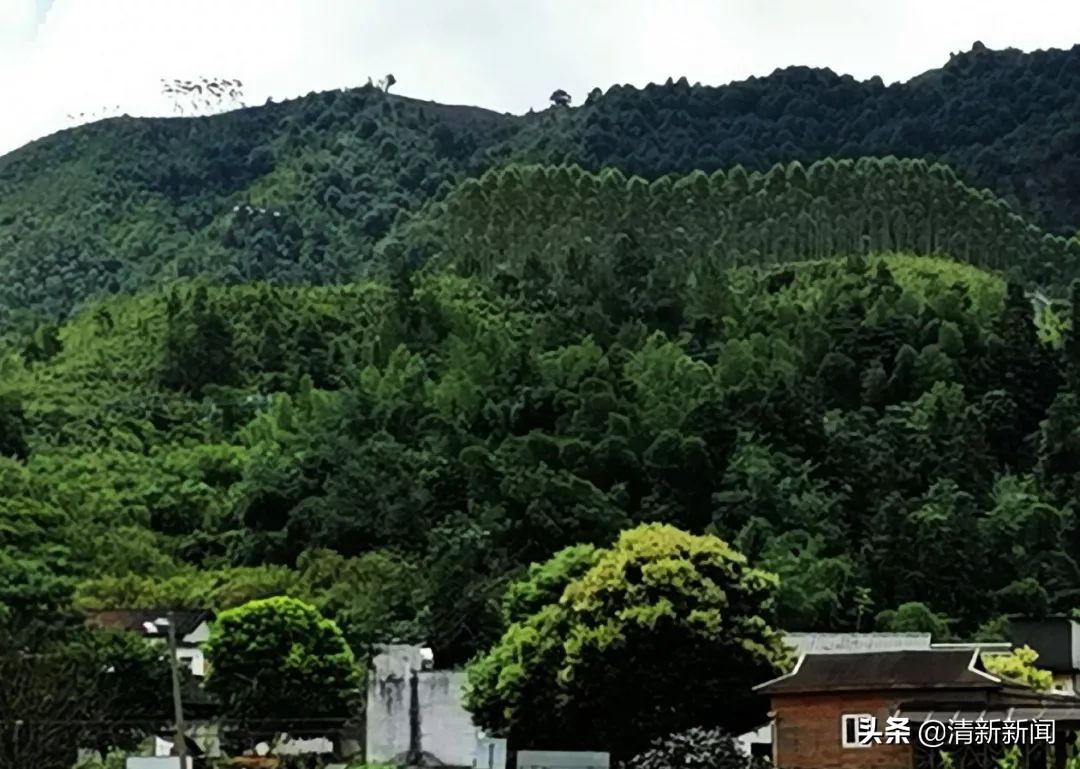 讲好秦都故事传承红色文化,清远秦皇山红色革命教育基地