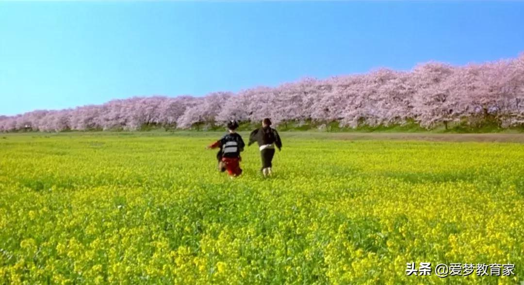 亚洲最狂野女导演，一年出3部新片，半个演艺圈为她站台