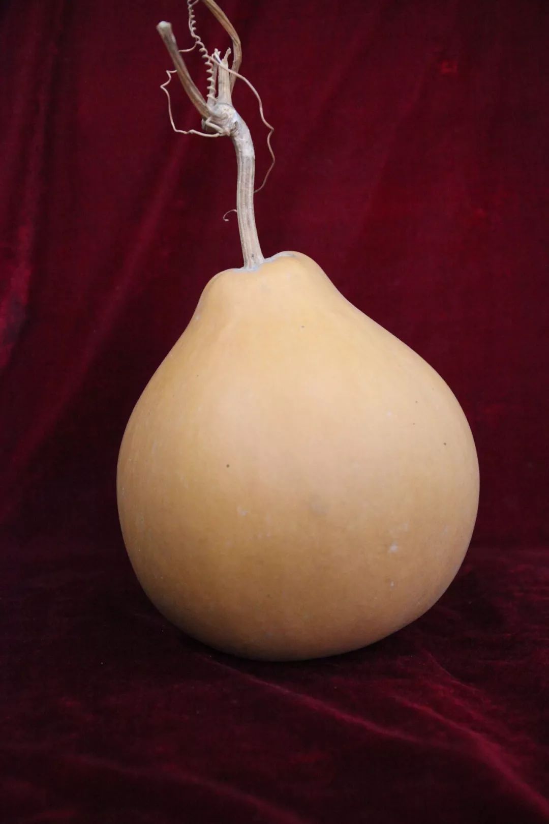 巧夺天工可以造什么句,巧夺天工能用于文章吗