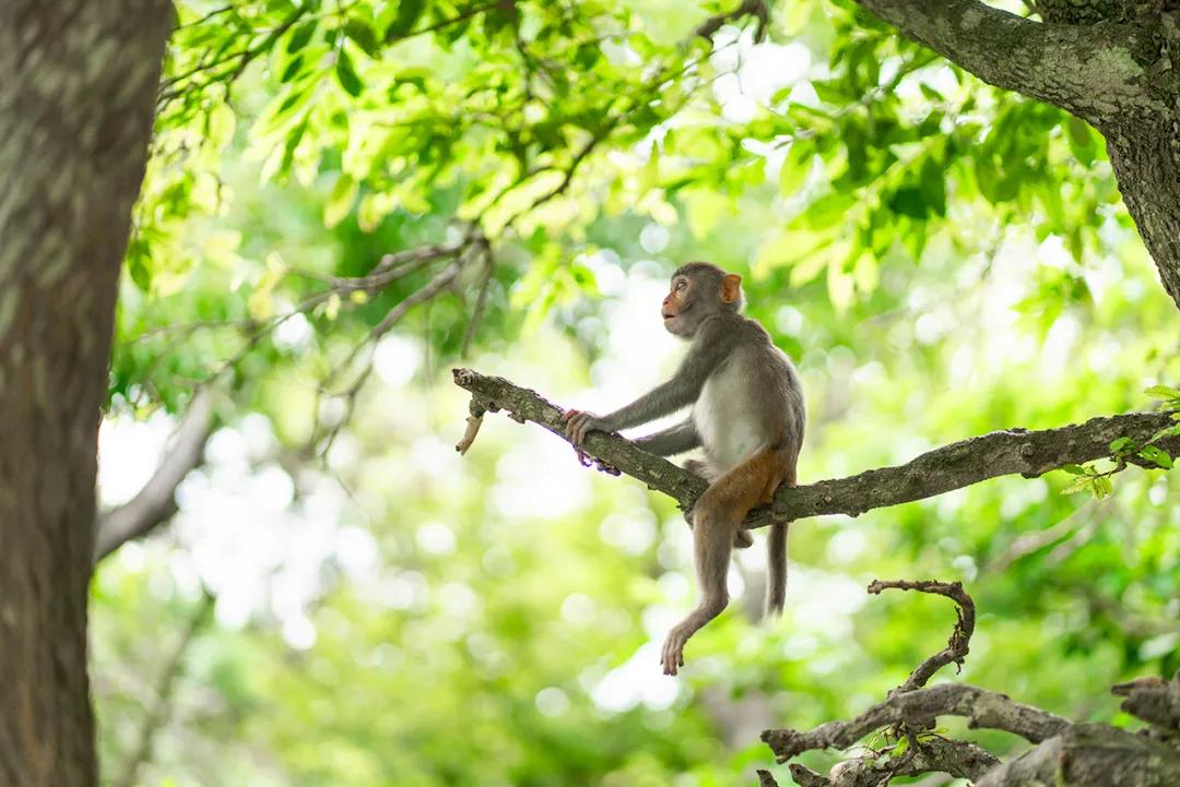 探秘三亚香水湾,三亚的香水湾