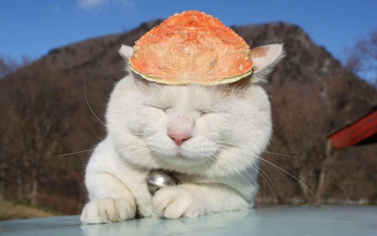 微淘引流最佳方法,双十一微淘玩法