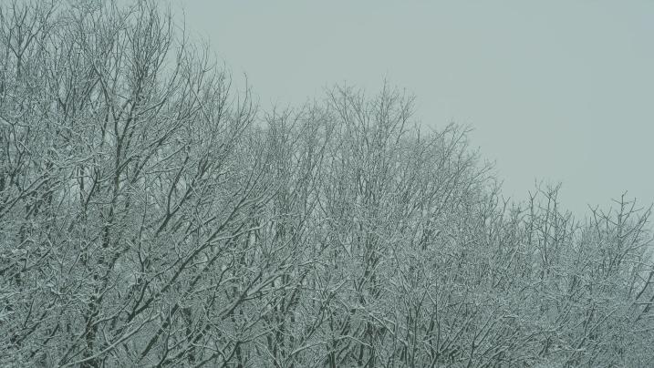 美食电影小森林,美食治愈日剧小森林