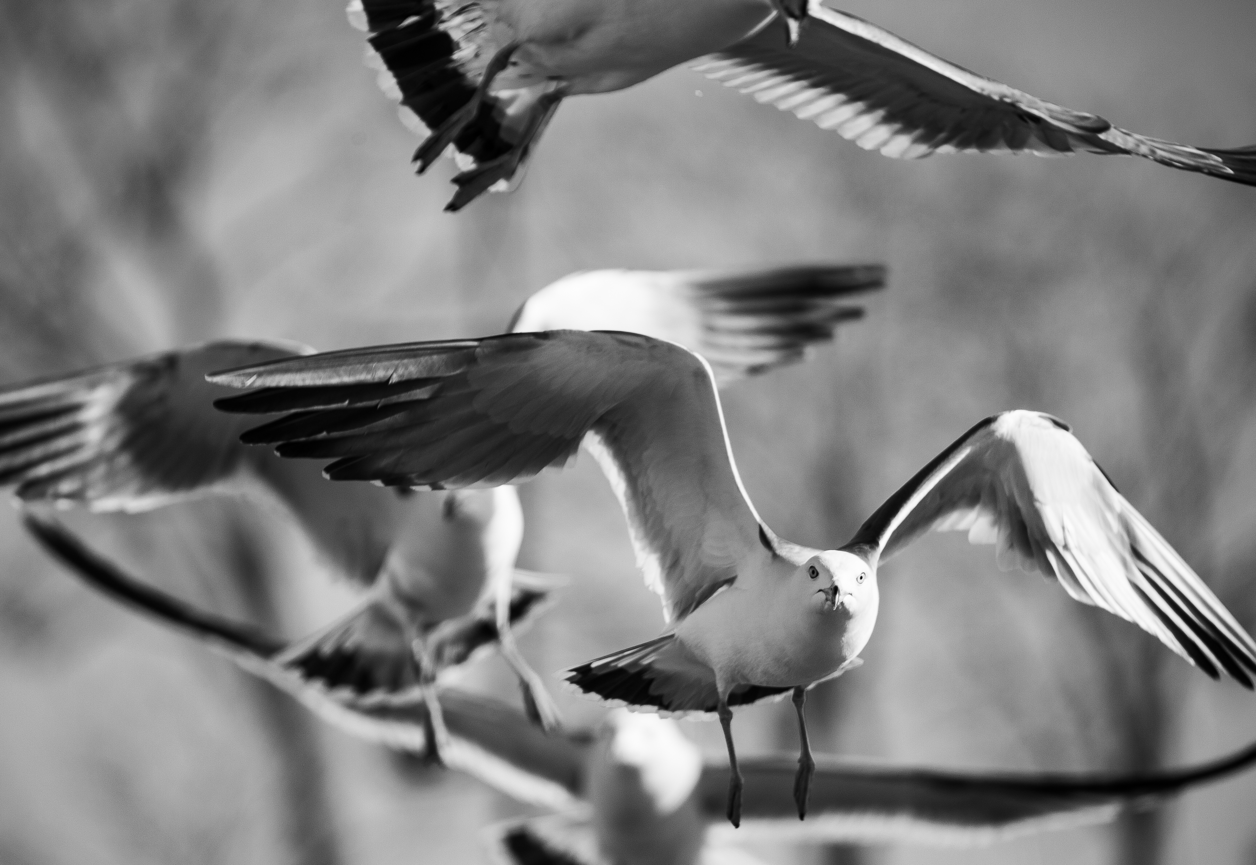 我与摄影的这些年,我和摄影的感悟